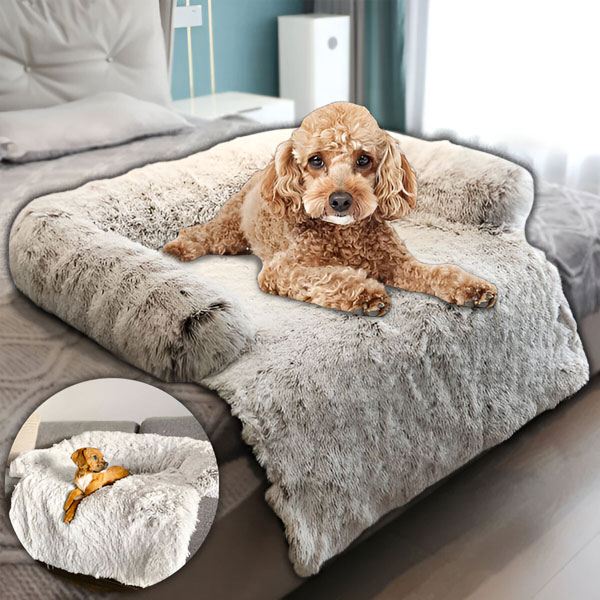 PAWNEST