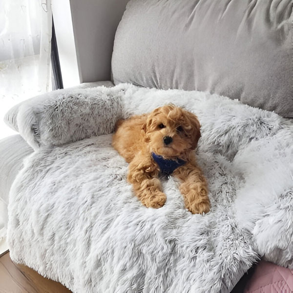 PAWNEST