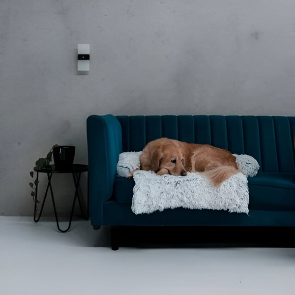 PAWNEST