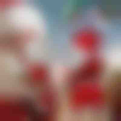 Χορευτικός Άγιος Βασίλης | DANCECLAUS